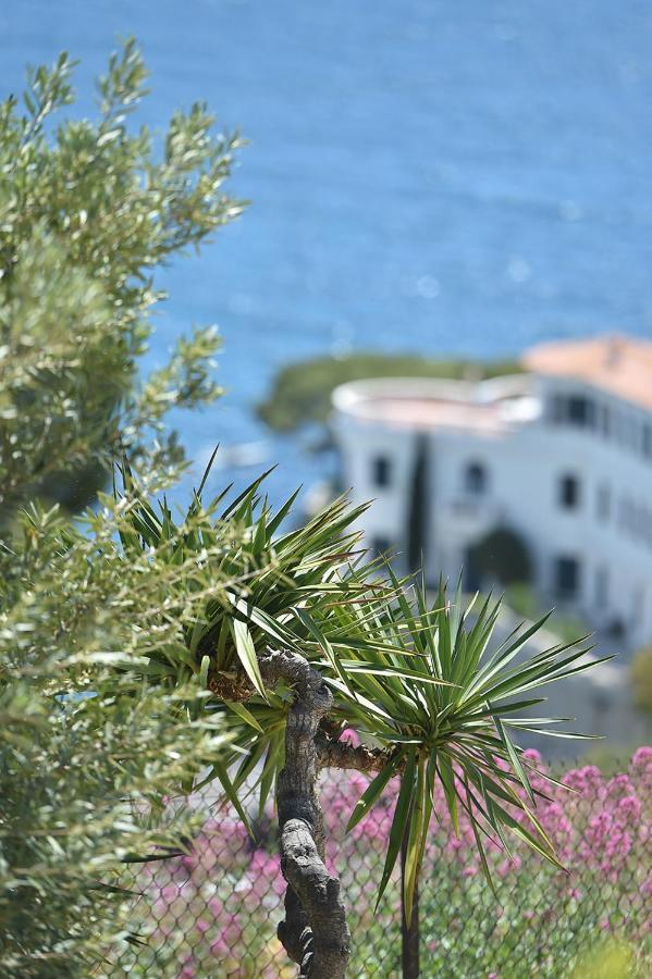 Le Son Des Vagues Vue Mer Cassis Extérieur photo